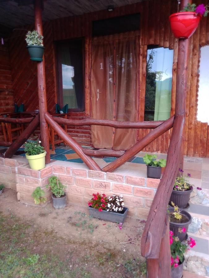 Appartamento Hacijenda Gane Soko Banja Esterno foto