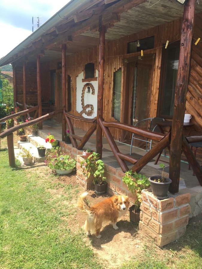Appartamento Hacijenda Gane Soko Banja Esterno foto